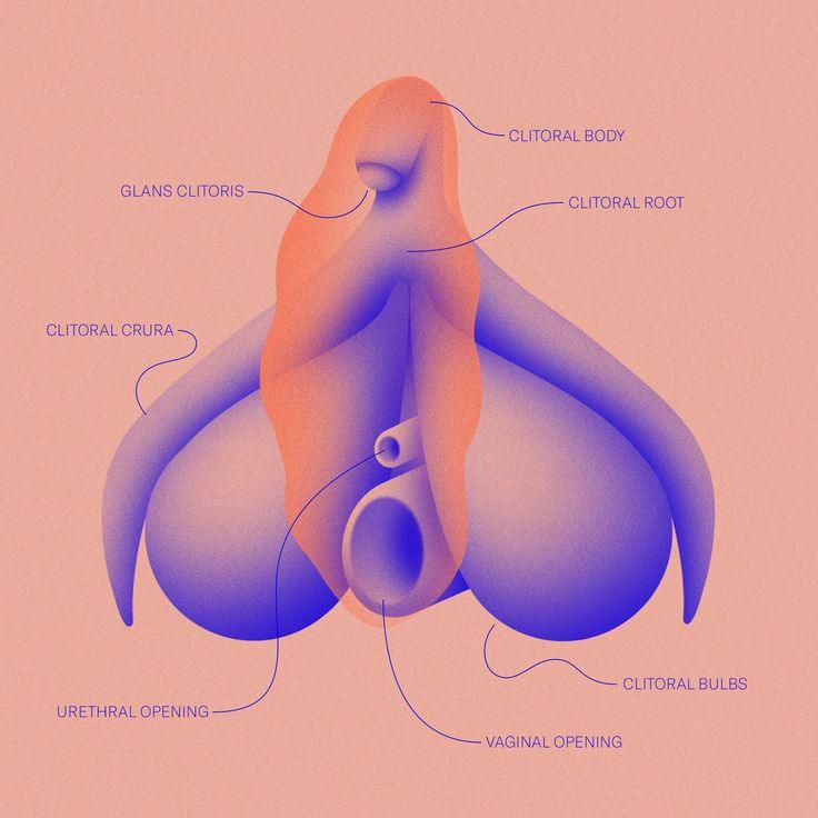 ¿Cómo estimular el clítoris de manera efectiva y placentera?